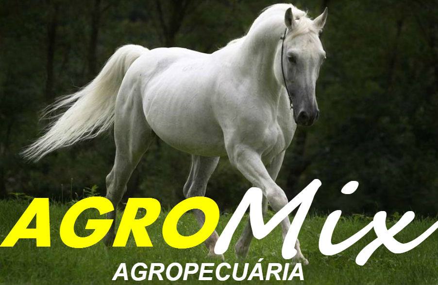 Imagem do Contato