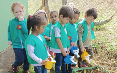 Escola Municipal Eucalipto Inaugura Hortinha Kids: Cultivando Hábitos Saudáveis e Nutrição desde a Infância!