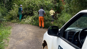 A equipe da Secretaria Municipal de Meio Ambiente desobstruí acessos devido às chuvas