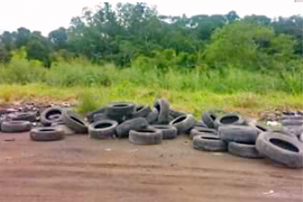 Retirada de pneus em terreno baldio no Varjão
